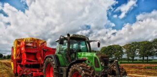 Kiedy można włączyć koguta pomarańczowego w ciągniku?