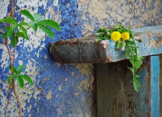 Jak naprawić porysowane lakierki?