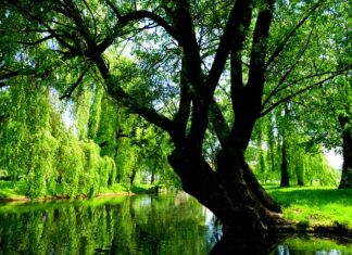 Gdzie spać na dziko na Mazurach?