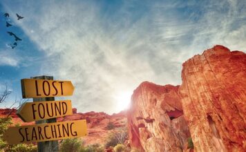 Jaka kara za zgubienie tablicy rejestracyjnej?