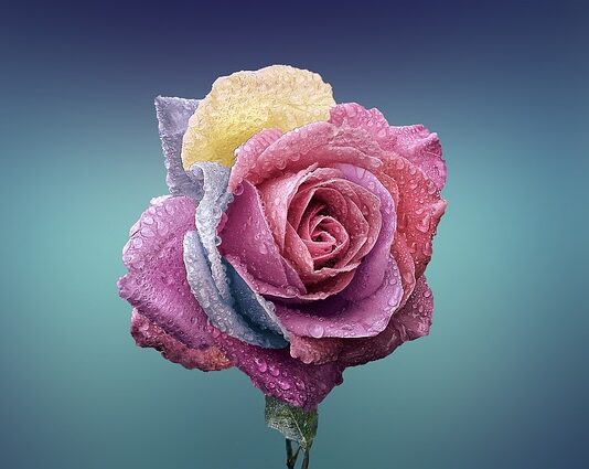 Czym się rożni Full LED od Matrix?